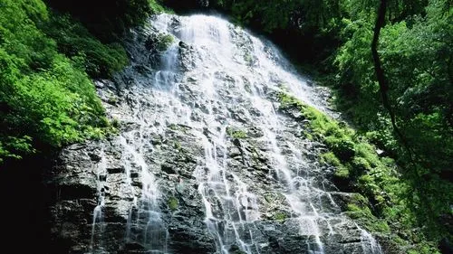电子高标准